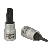 1/4" Furatos Torx