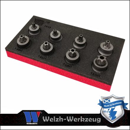 2543-WW | Rátűzőkulcs készlet 3/8" Torx T10H-T55H mm - extra alacsony,furat - Welzh