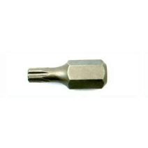 10 mm Torx Bit