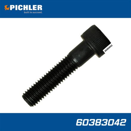 60383042 | Pichler tartozék PSA20TON-2.2HDI-03 Csavar M10x45mm imbusz 12.9 - A