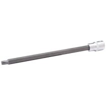 1/2" Ribe