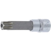 1/2" Furatos Torx