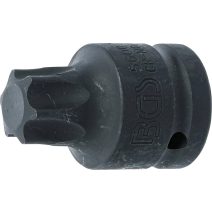 3/4" Torx