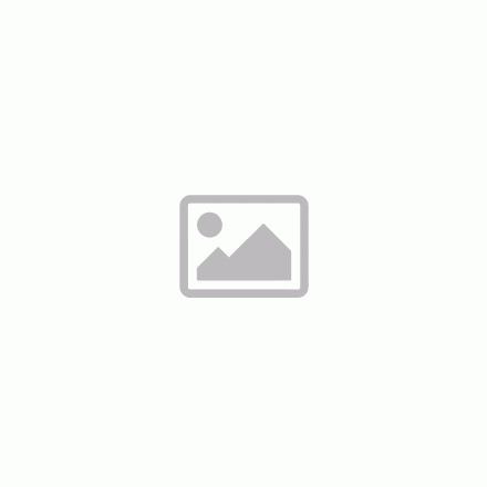 AWT-EBS3032 | Csillag-csillagkulcs 30-32 Licota